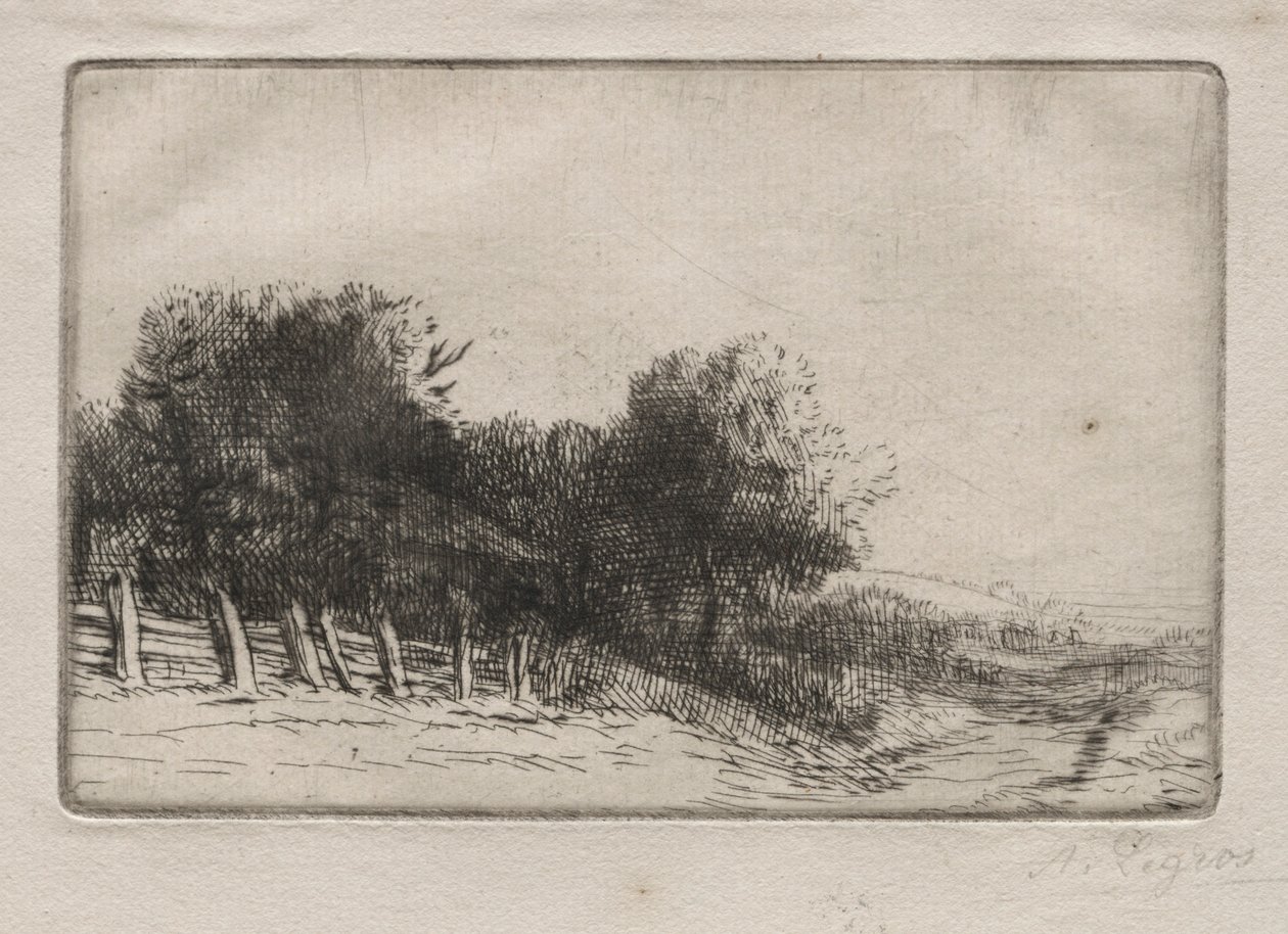 Paisagem Uma Paisagem. de Alphonse Legros