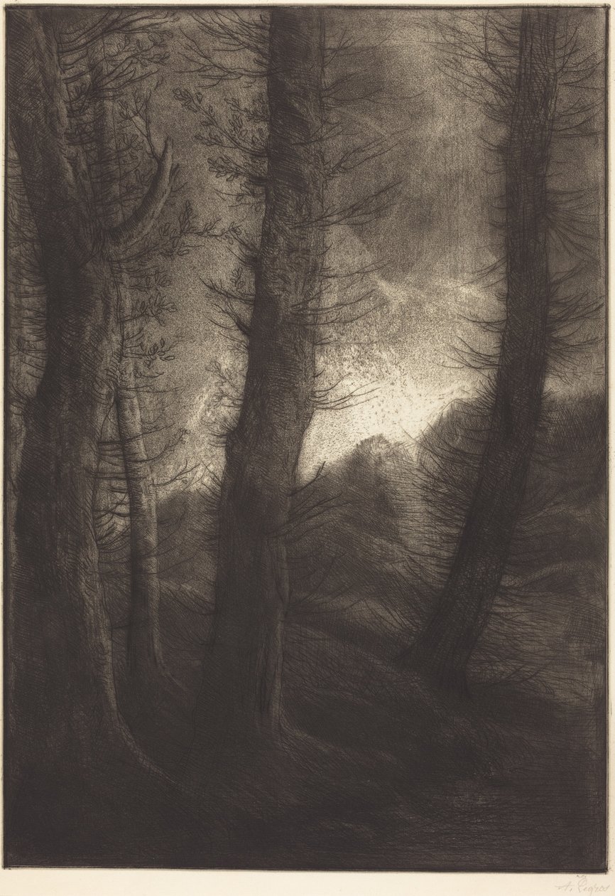 Árvores Altas Vistas contra o Sol  (As árvores altas: Efeito do entardecer) de Alphonse Legros