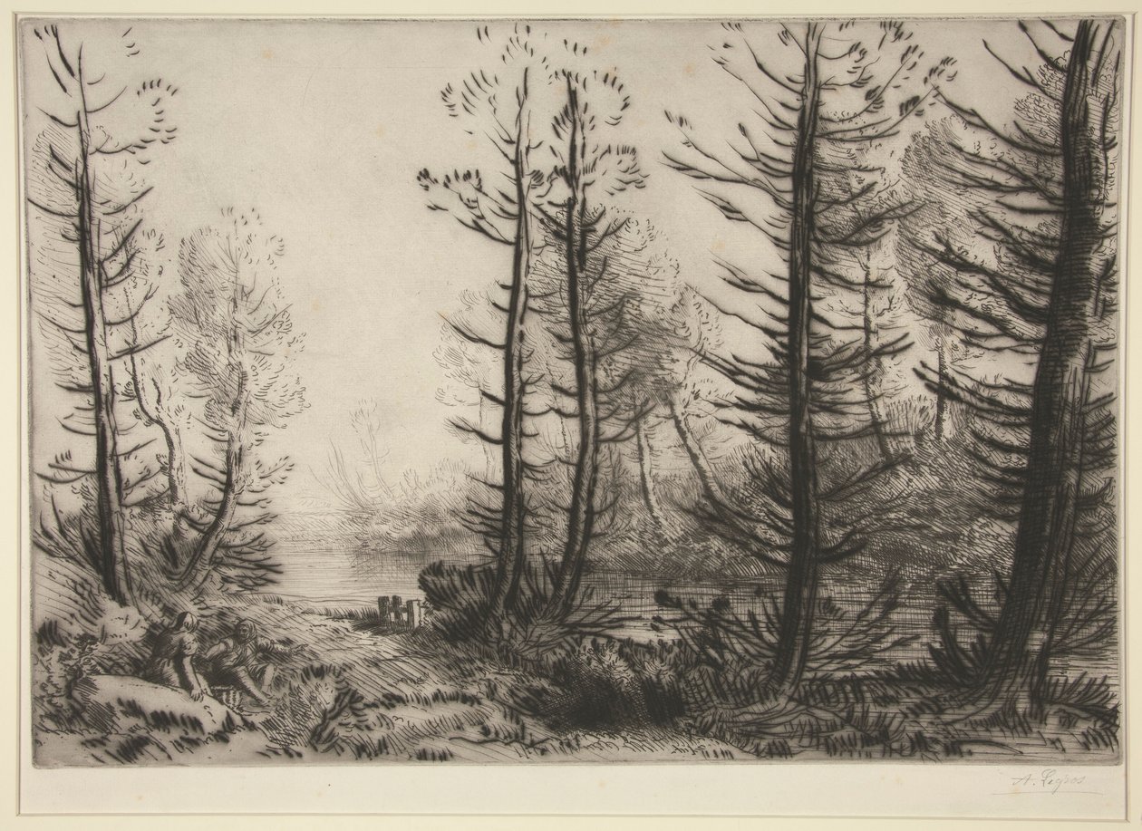 O Grande Canal de Alphonse Legros