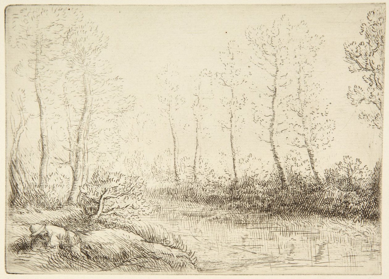 Os Bétulas de Alphonse Legros