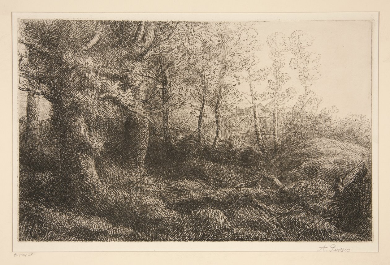 Orla da floresta de Alphonse Legros