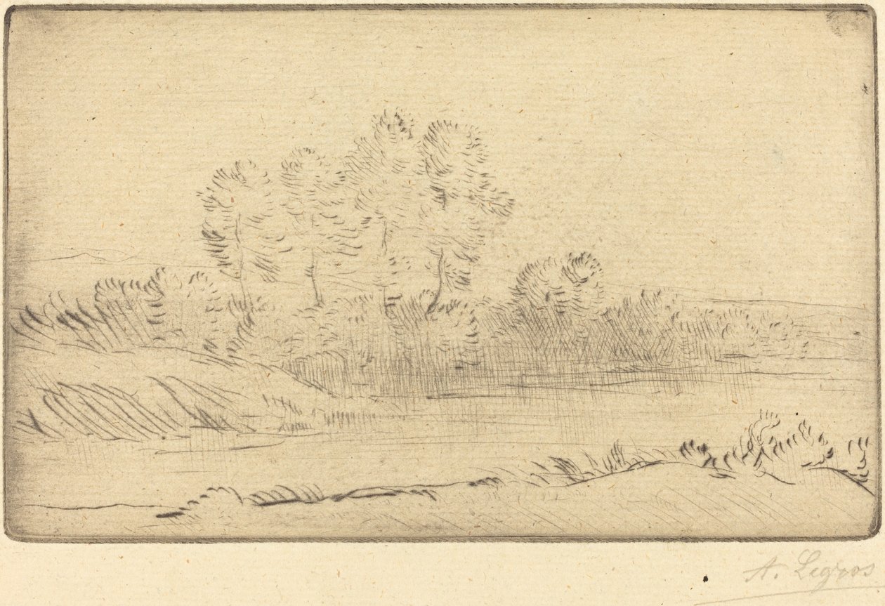 Perto de Nordkerque (Prés de Nordkerque) de Alphonse Legros