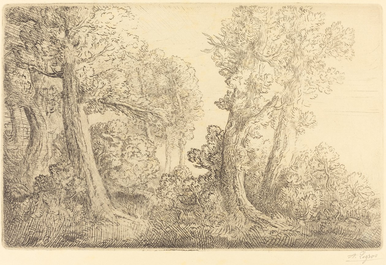 Perto do Bosque, Veronne (Pres du bois, Veronne) de Alphonse Legros
