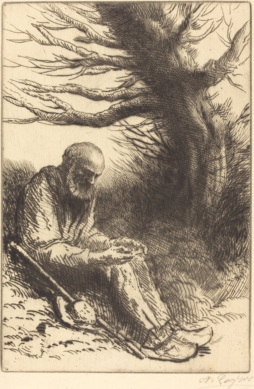 Old man, Old Tree (Vieil homme, vieil arbre) de Alphonse Legros