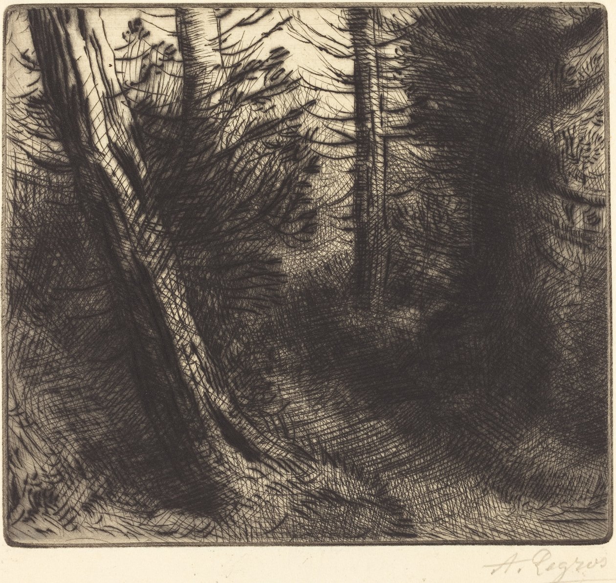 Caminho pela floresta de Alphonse Legros