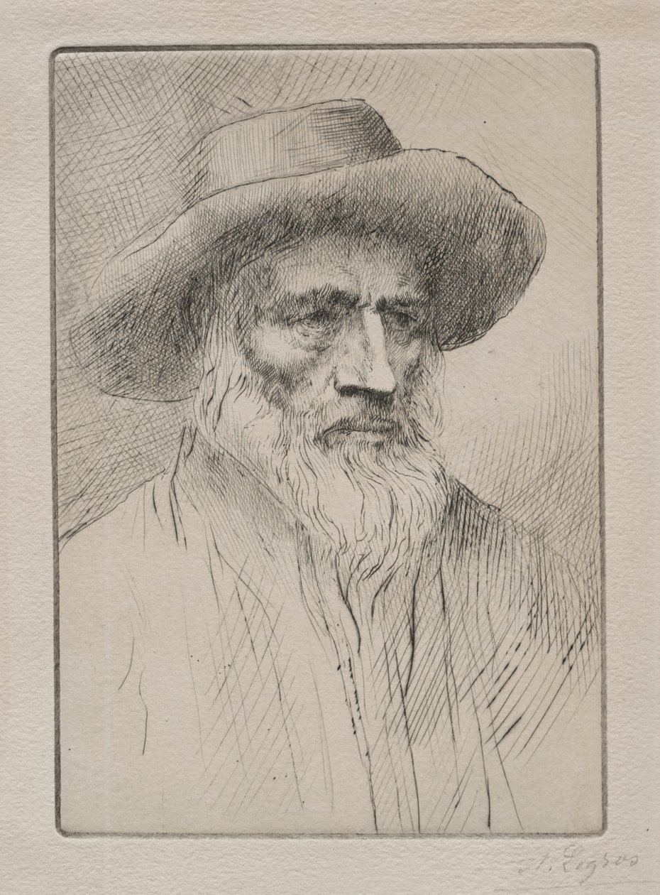 Camponês dos Vosges de Alphonse Legros
