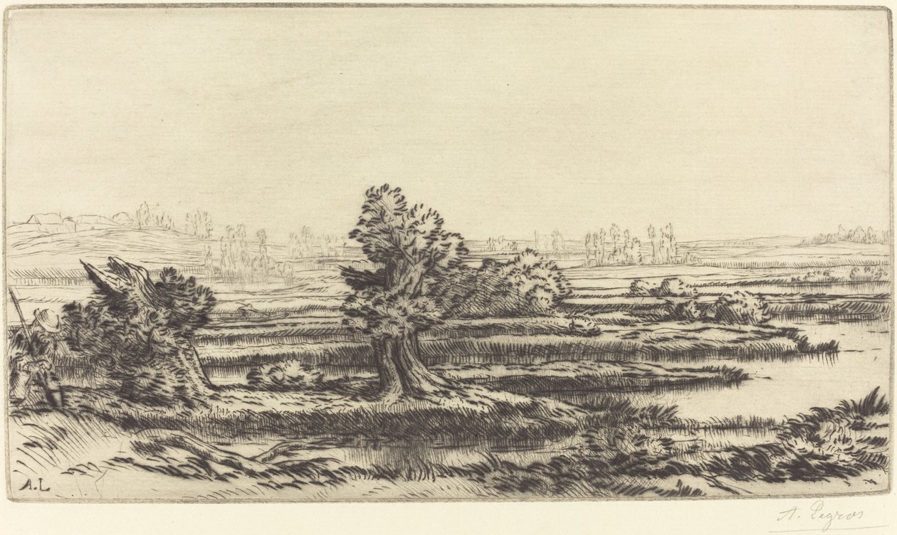 Turfeiras (Les Tourbieres) de Alphonse Legros