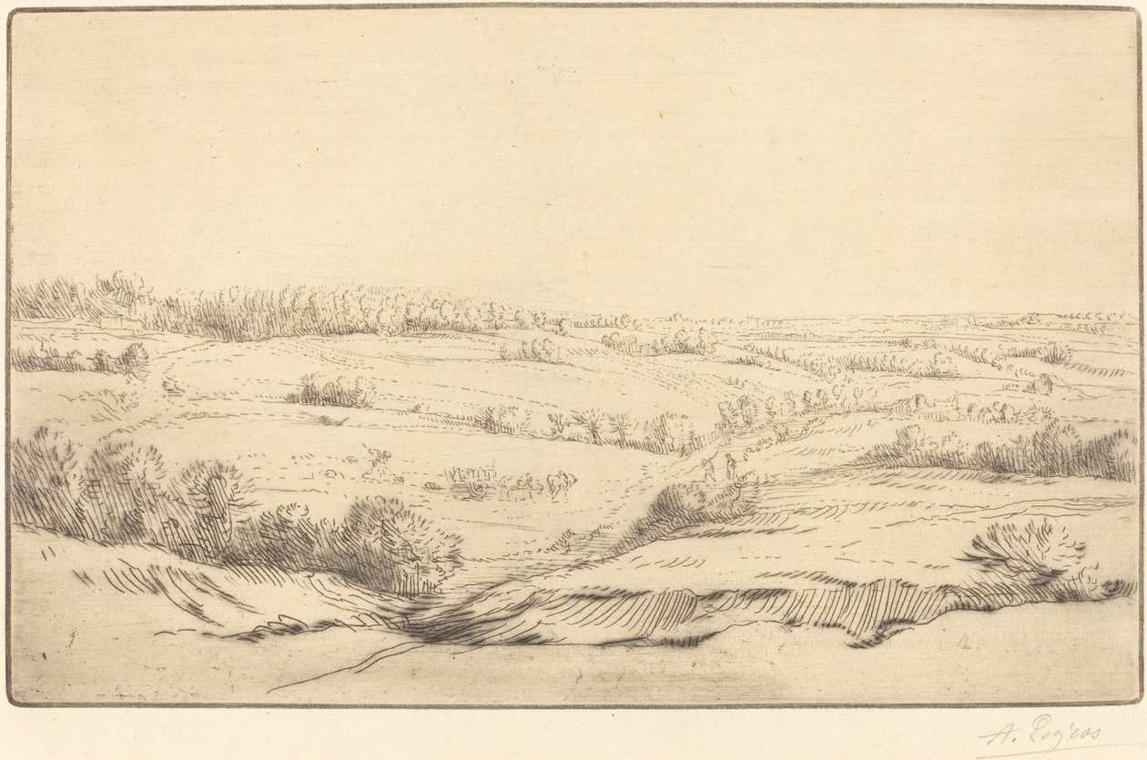 Avião de Alphonse Legros