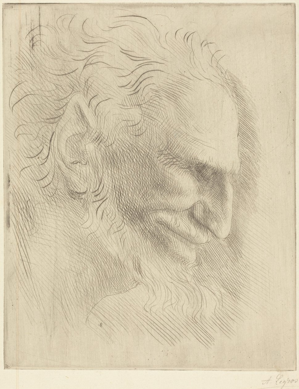Estudo para a cabeça de um homem de Alphonse Legros