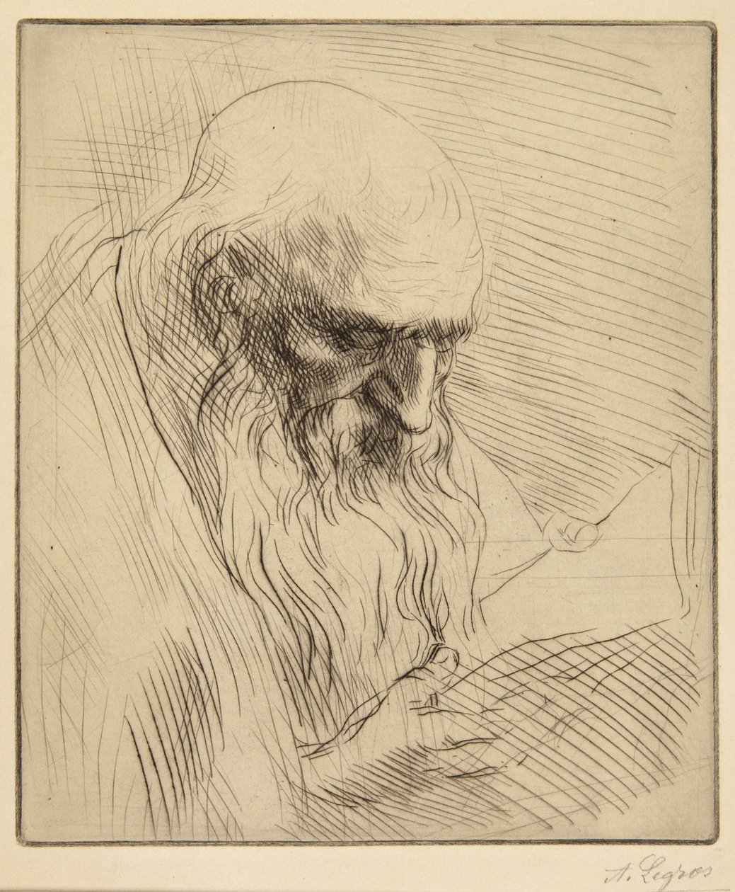 Estudo de um homem idoso a ler de Alphonse Legros