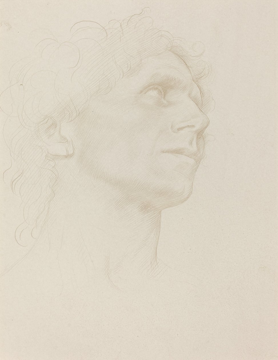 Estudo da cabeça da mulher, virada à direita de Alphonse Legros