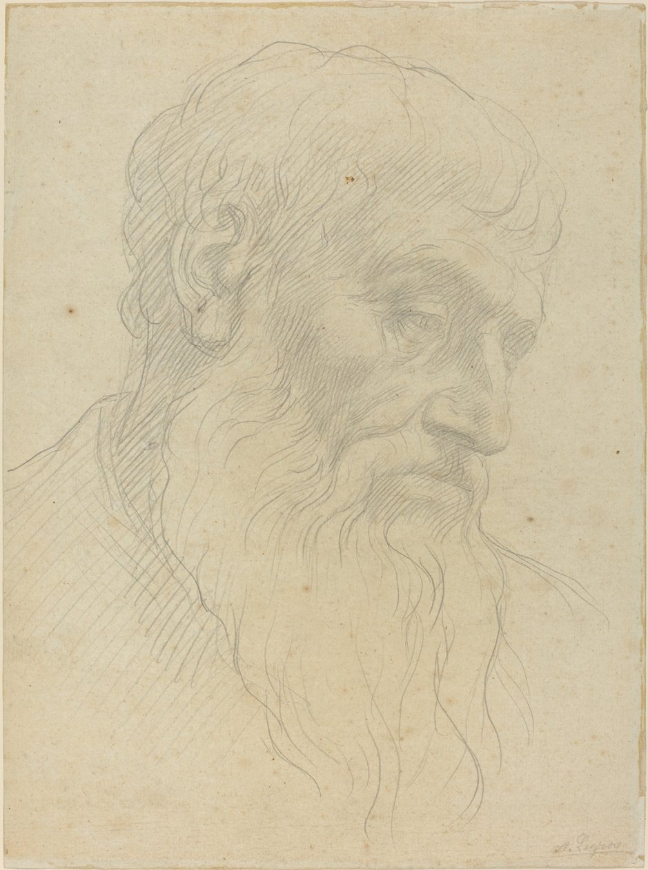 Estudo de uma cabeça. de Alphonse Legros