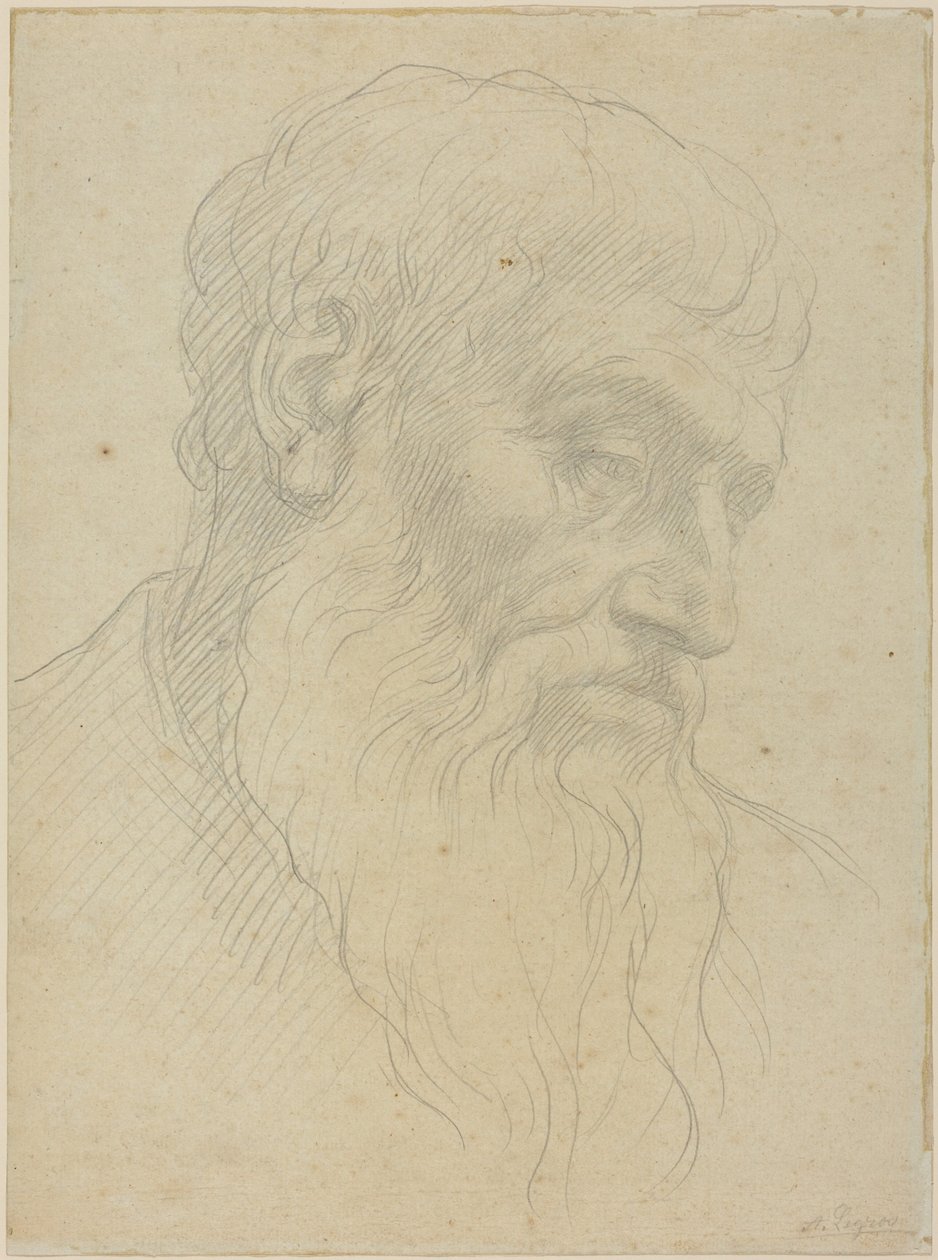 Estudo de uma cabeça de Alphonse Legros