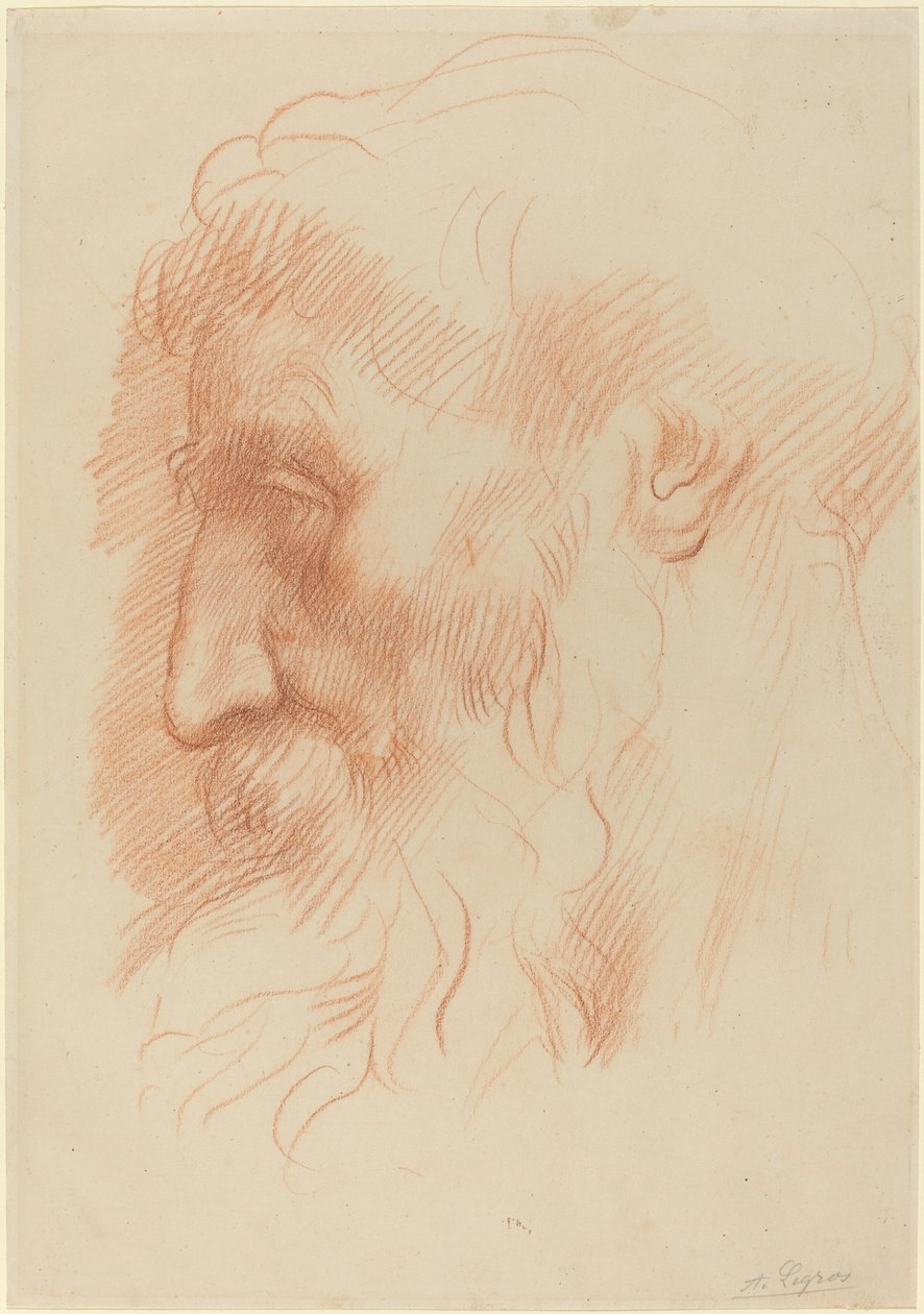 Estudo da cabeça de um homem [reto]. de Alphonse Legros
