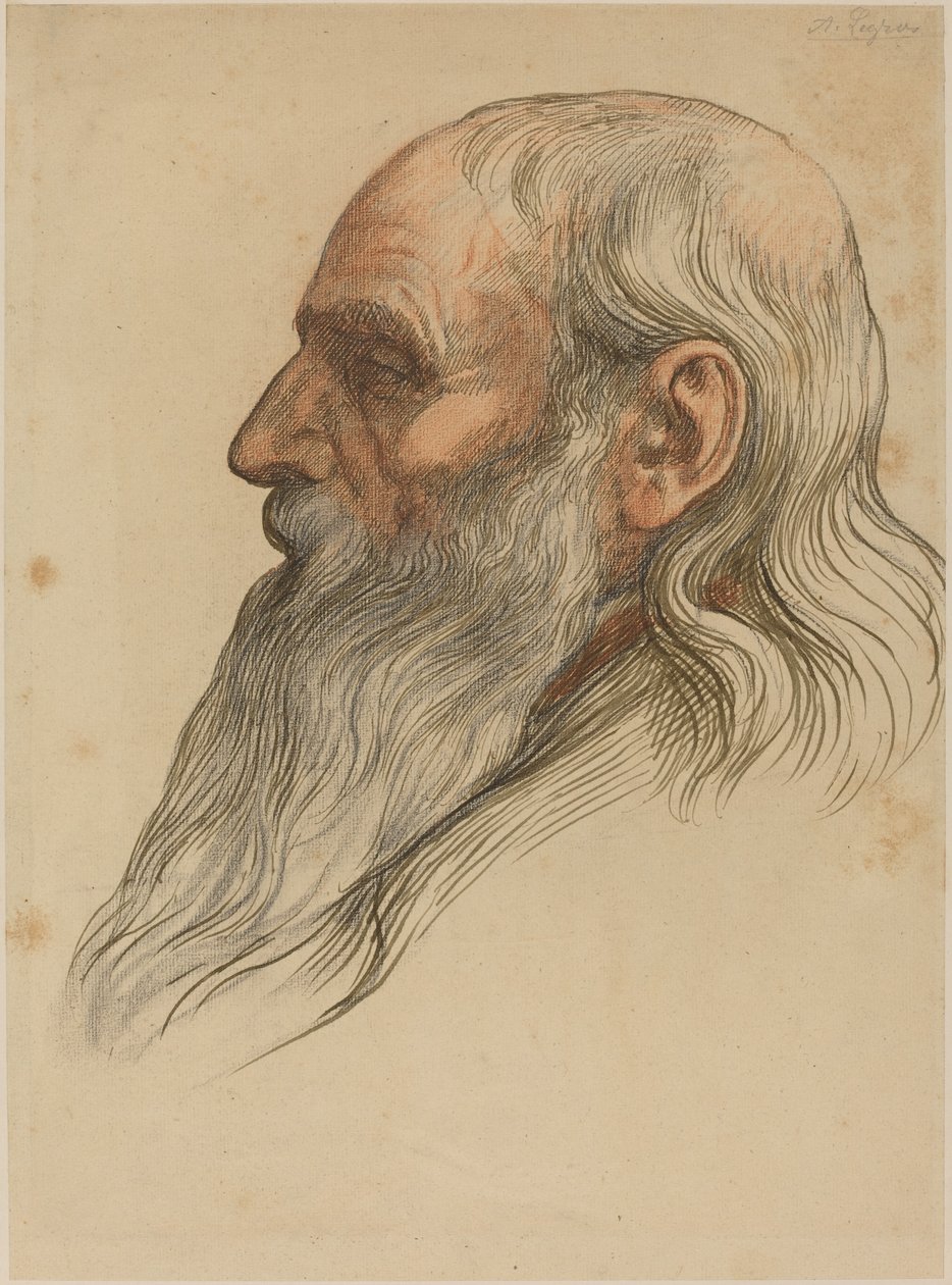 Estudo da cabeça de um homem com barba cheia de Alphonse Legros