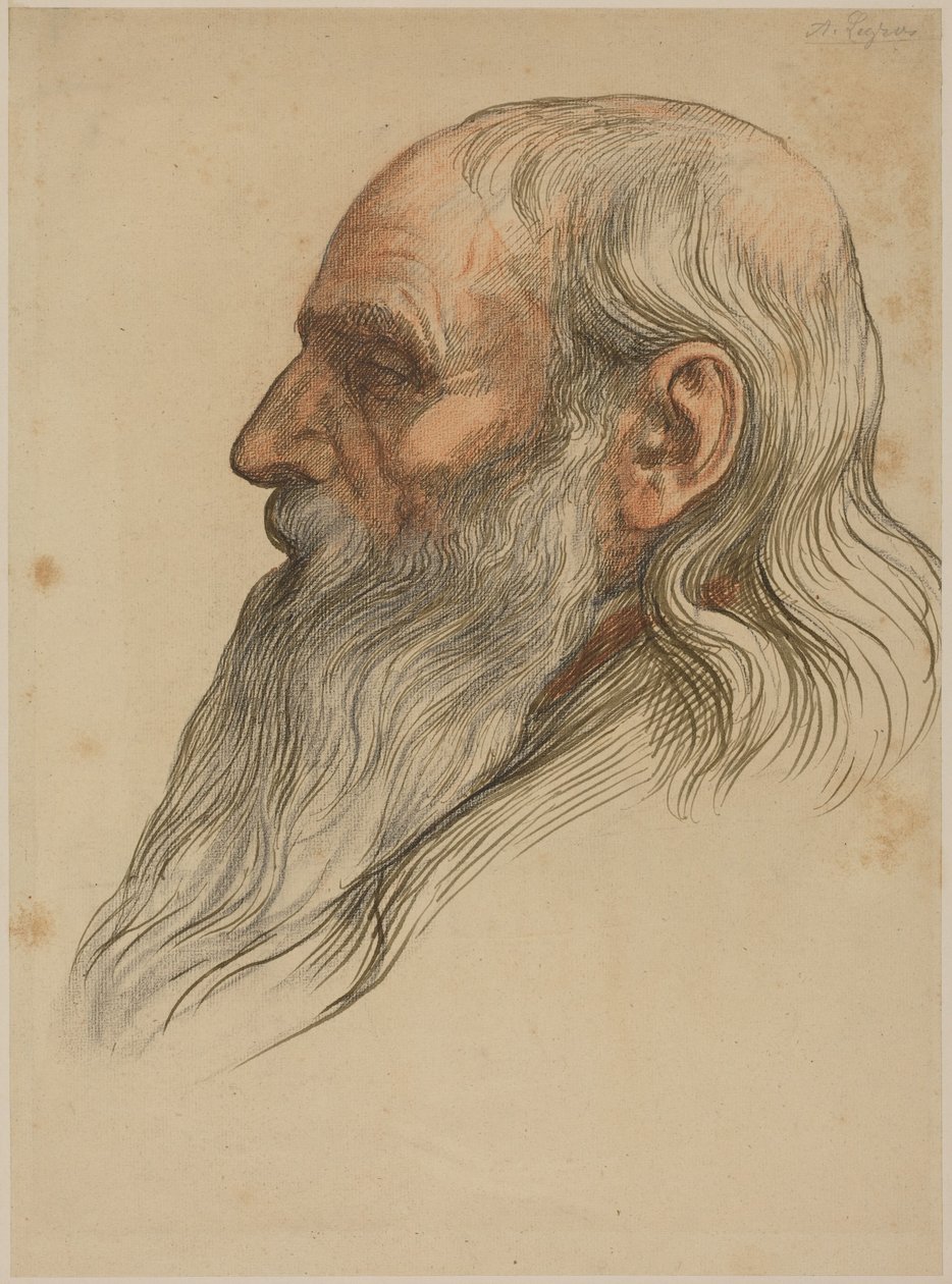 Estudo da cabeça de um homem com barba espessa de Alphonse Legros