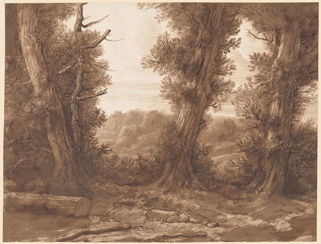 As grandes árvores de Alphonse Legros