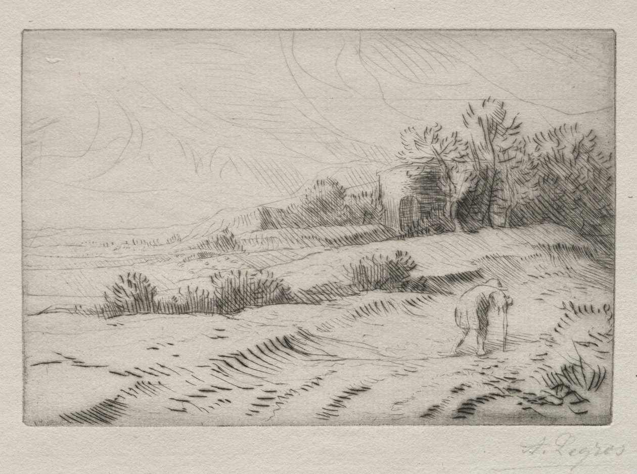 A torre de Alphonse Legros