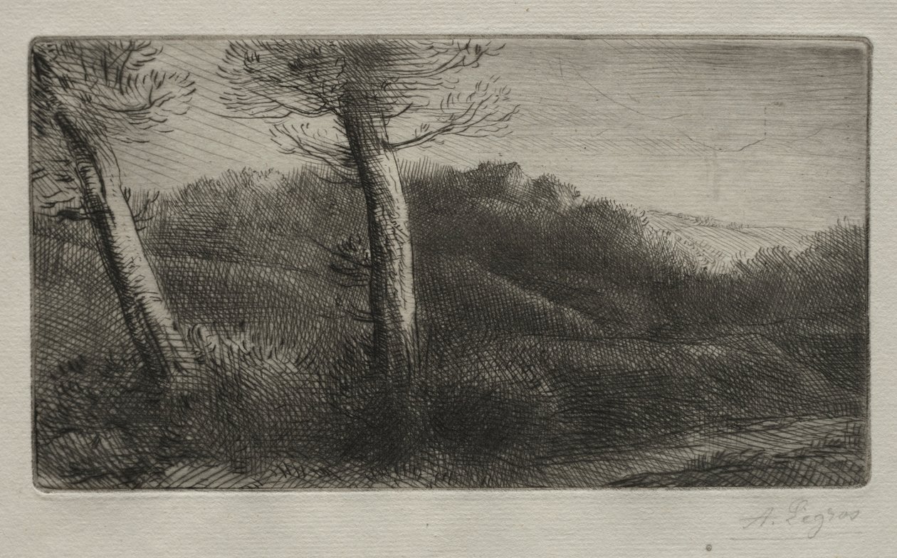 O Viajante Esticado na Grama, c. 1888 de Alphonse Legros