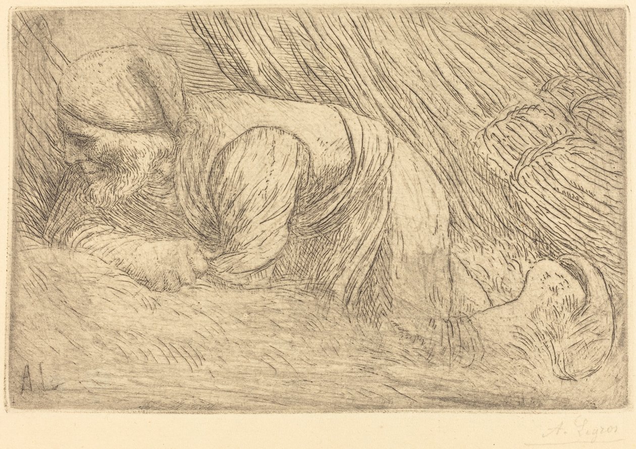 Colector de galhos O fagotier. de Alphonse Legros