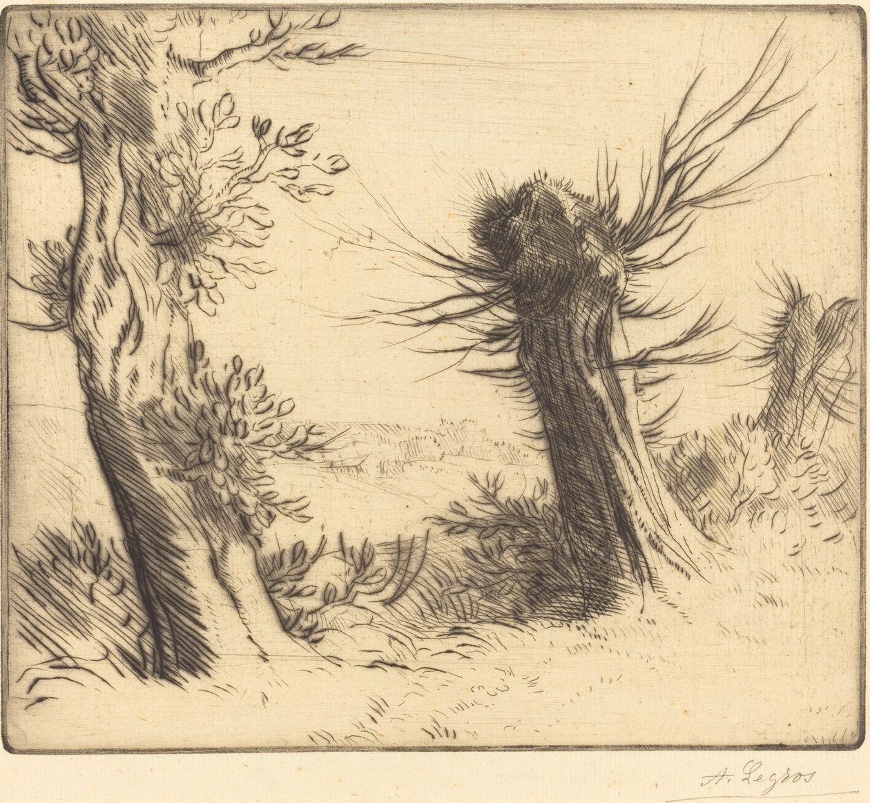 Salgueiros Les saules. de Alphonse Legros