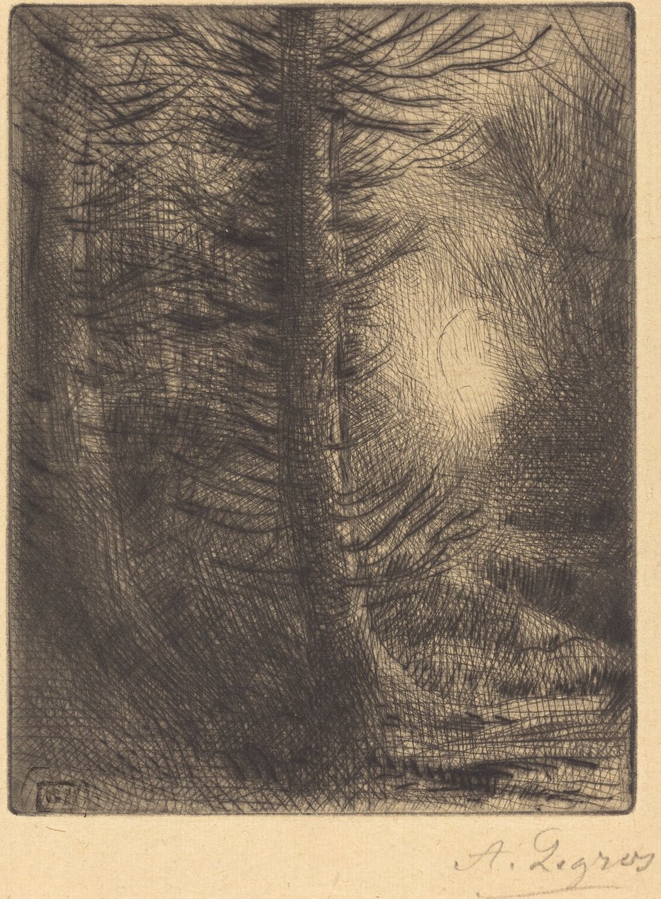 Woods in Winter Sun, 1st plate (Soleil d