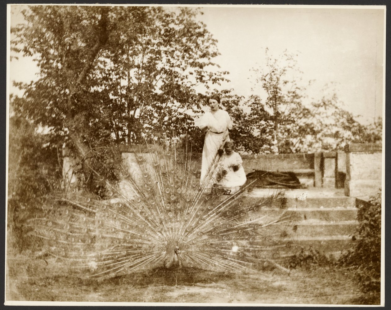 [Marie Mucchová com a filha Jaroslava no parque de Zbiroh, Boémia] de Alphonse Maria Mucha