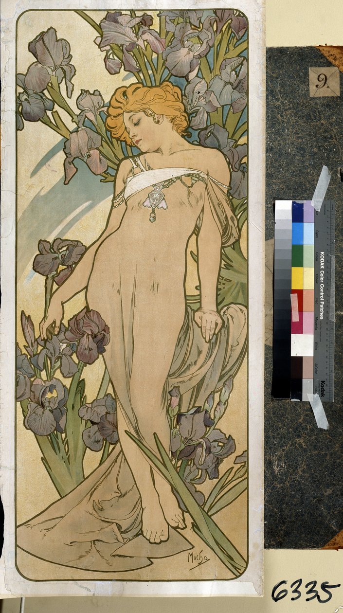 Íris (parte da série de flores). Trabalho de Alfons Maria Mucha (Alphonse Marie Mucha de Alphonse Marie Mucha