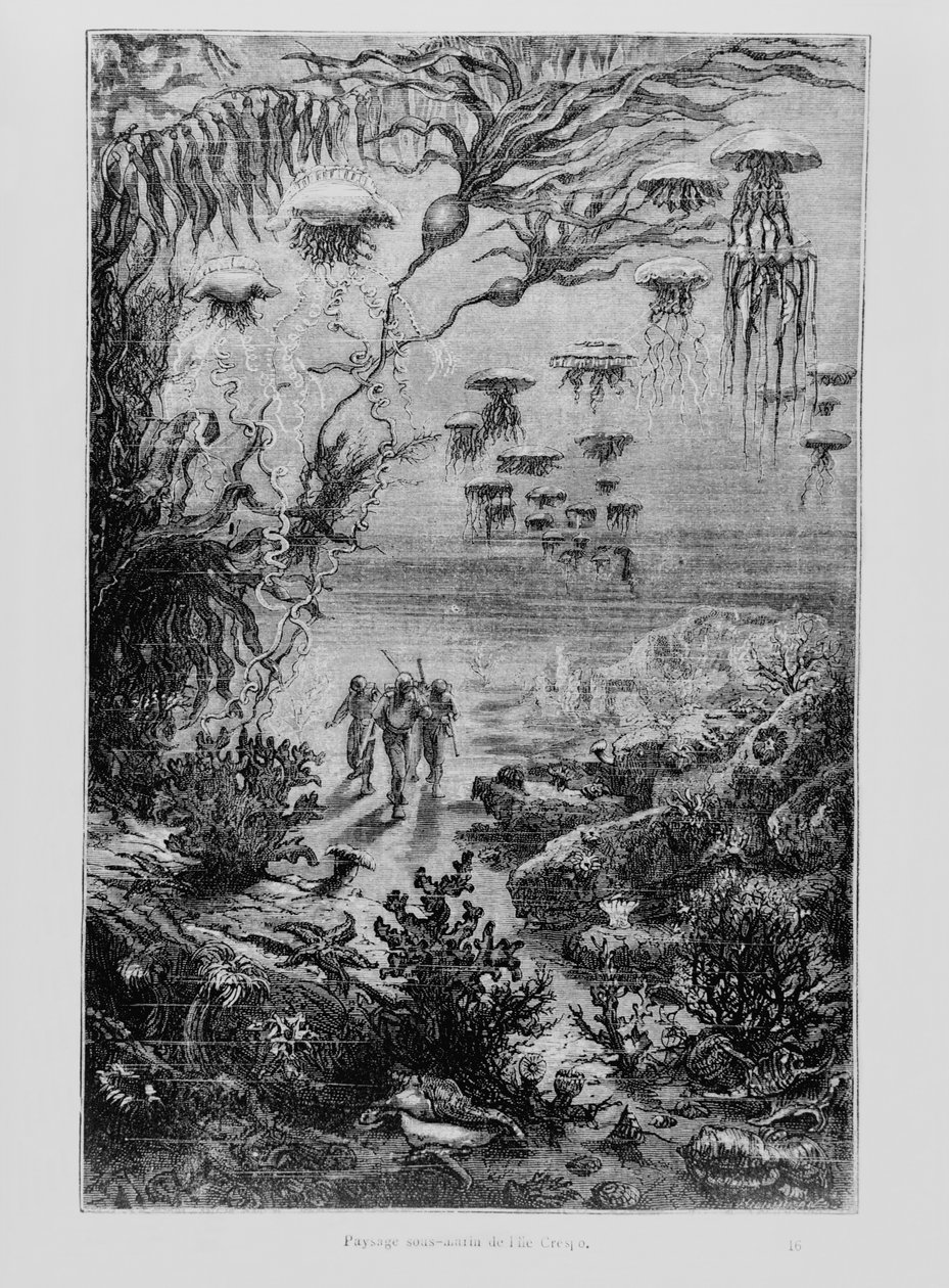 Ilustração de &39;20, 000 Leagues Under the Sea &39;por Jules Verne (1828-1905) gravado por Henri Theophile Hildibrand (1824-97) c.1869-70 de Alphonse Marie de Neuville