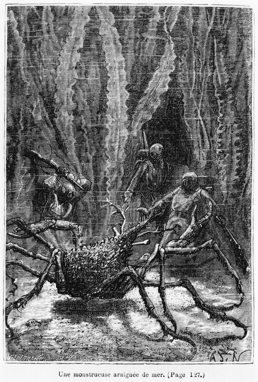O caranguejo-aranha, ilustração de &39;20, 000 léguas submarinas &39;por Jules Verne (1828-1905) gravado por Henri Theophile Hildibrand (1824-97) Paris, Hetzel, publicado em 1877 de Alphonse Marie de Neuville
