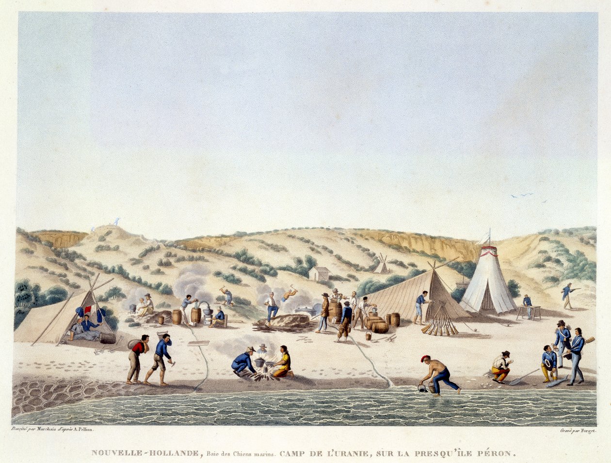 Louro do cão de mar, Holland novo: O acampamento do Urania perto da ilha de Peron, "da viagem em todo o mundo em Corvetas do Urania" gravado por Esqueça após o projeto por Marchais, bar. 1817-20 (colou de Alphonse Pellion