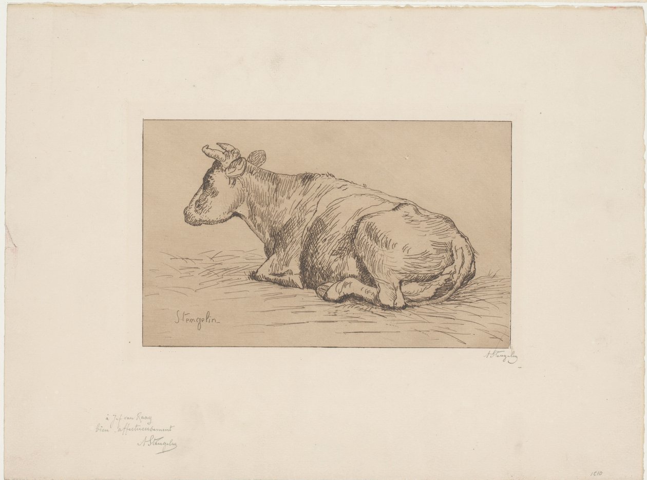 Vaca reclinada de Alphonse Stengelin (signed by artist)