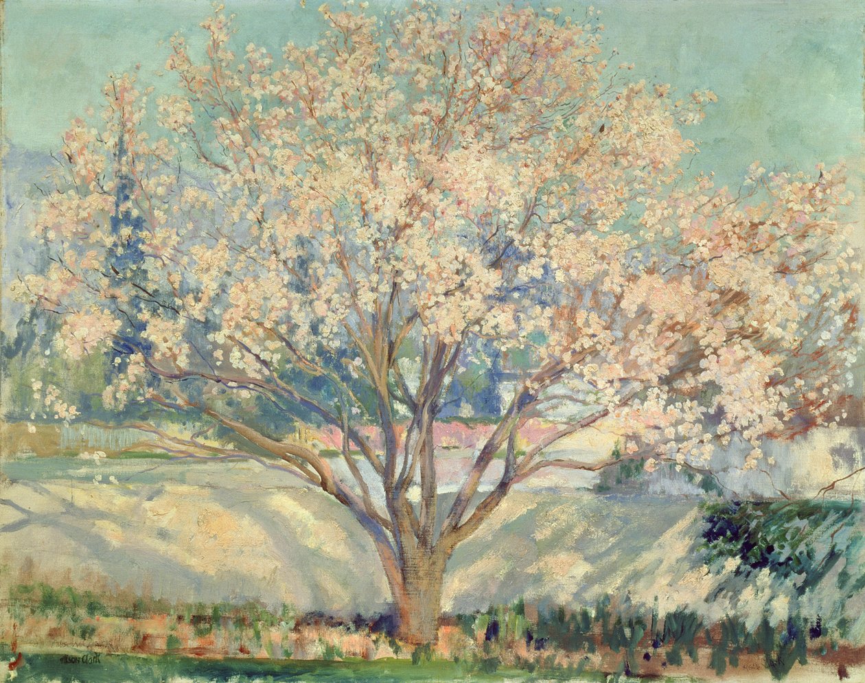 Amendoeira em Flor (óleo sobre tela) de Alson Skinner Clark