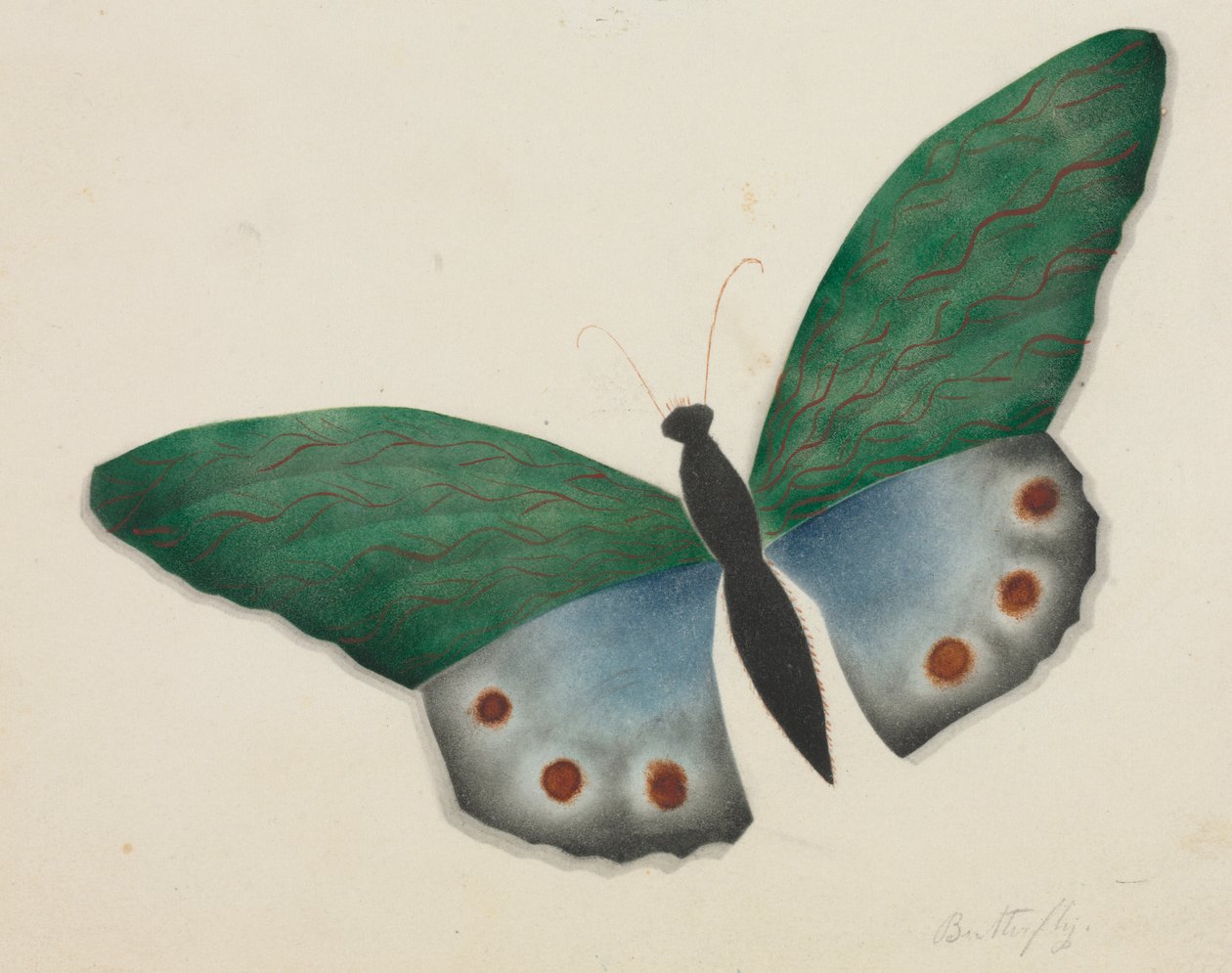 Borboleta (aguarela) de Altha Mary Nims