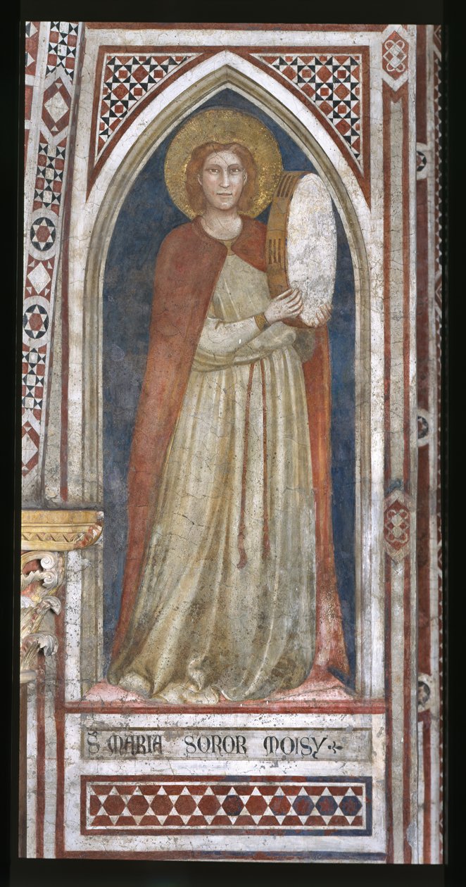 Capela da Magadalene, a parede norte: "Miriam, irmã de Moisés". de Ambrogio Bondone (workshop) Giotto