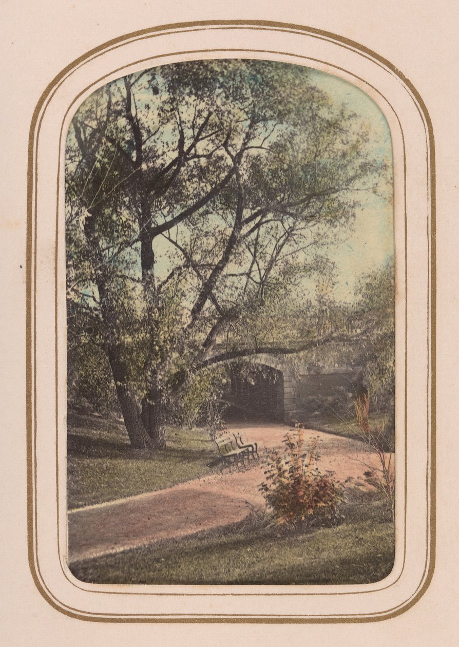 Álbum carte-de-visit de vistas do Central Park, década de 1860. de Ambrose Jackson