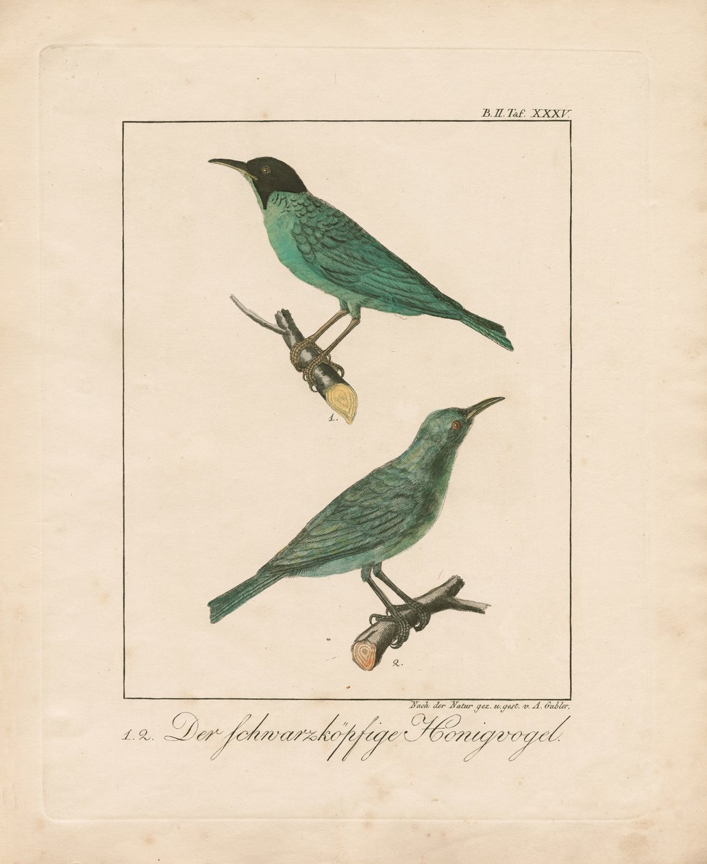  de Ambrosius Gabler