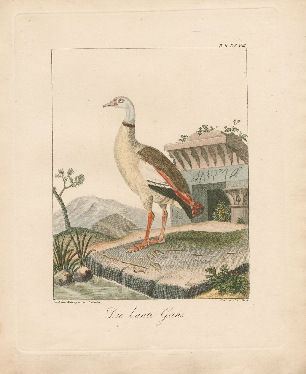  de Ambrosius Gabler