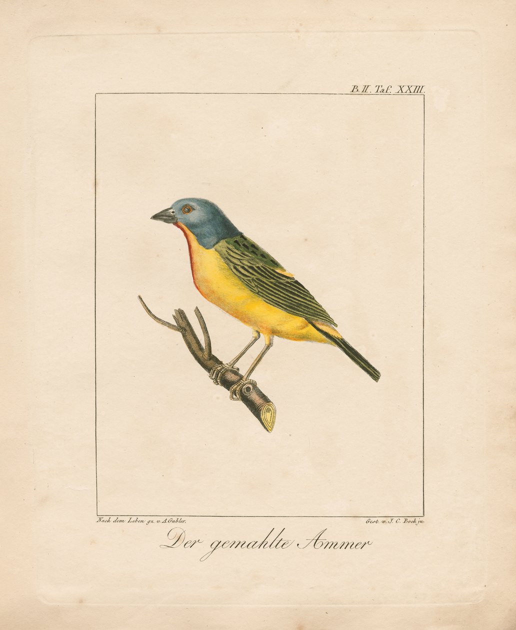  de Ambrosius Gabler