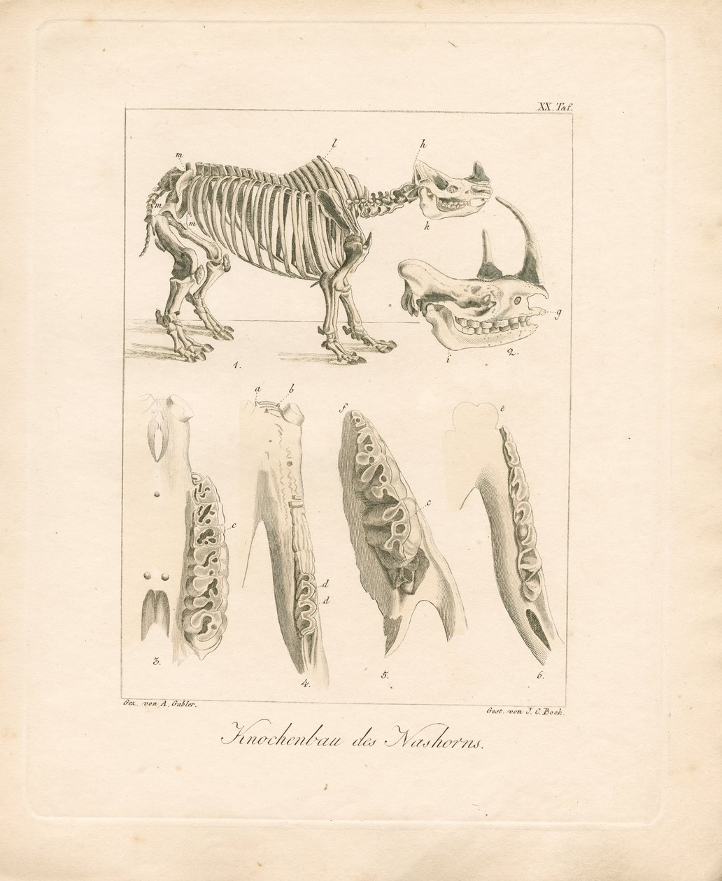  de Ambrosius Gabler