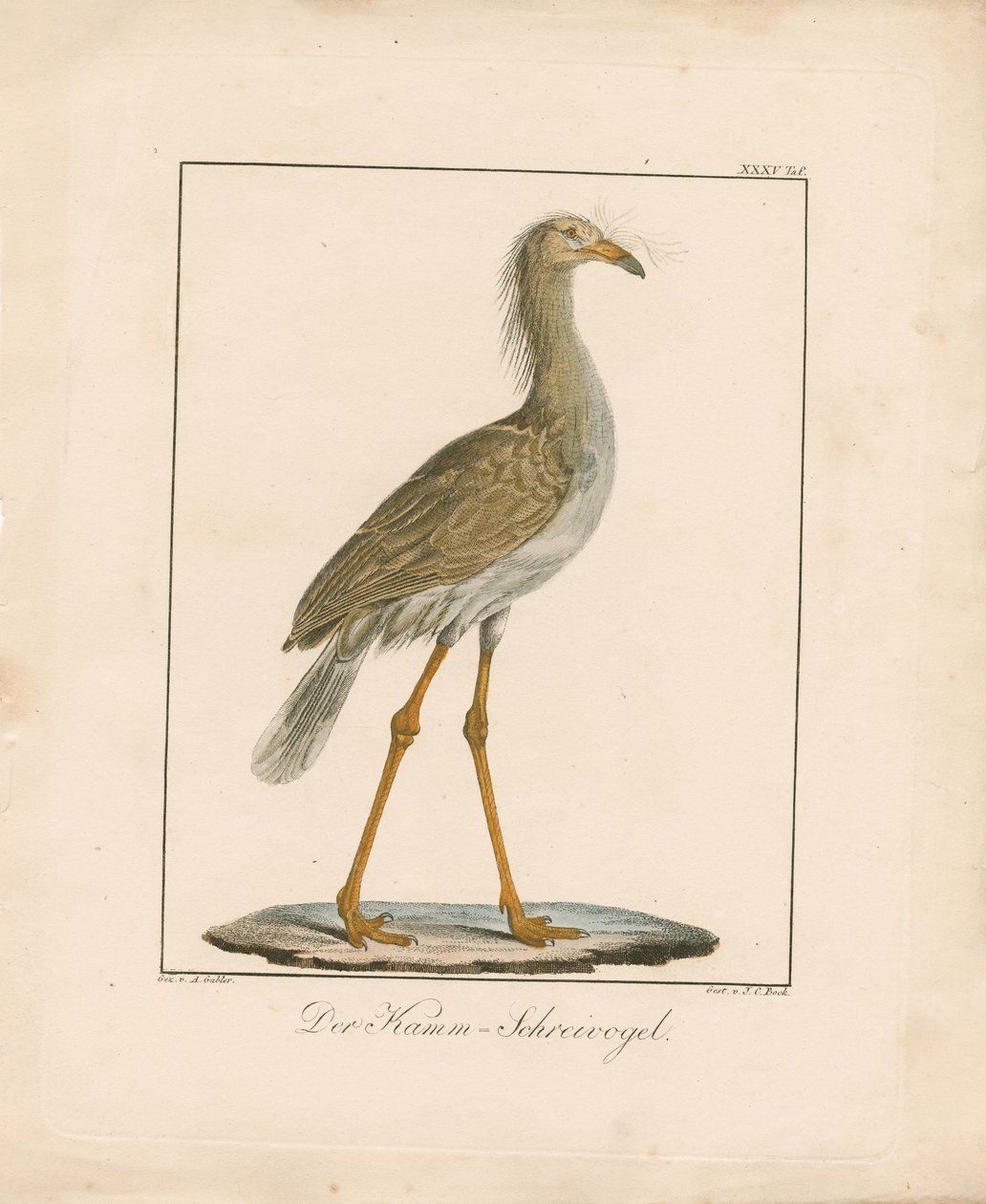  de Ambrosius Gabler