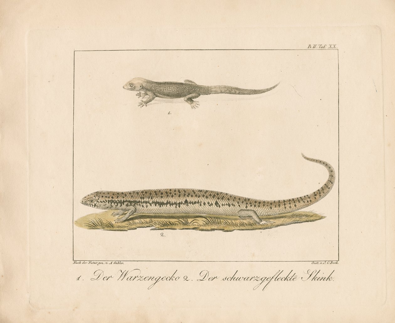  de Ambrosius Gabler
