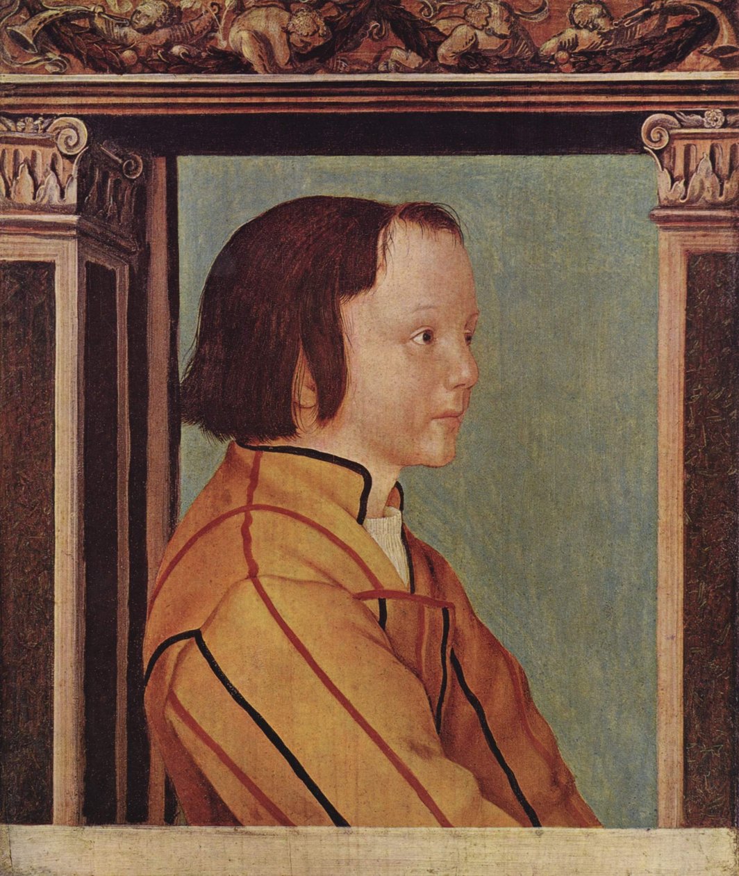 Rapaz com cabelo castanho de Ambrosius Holbein