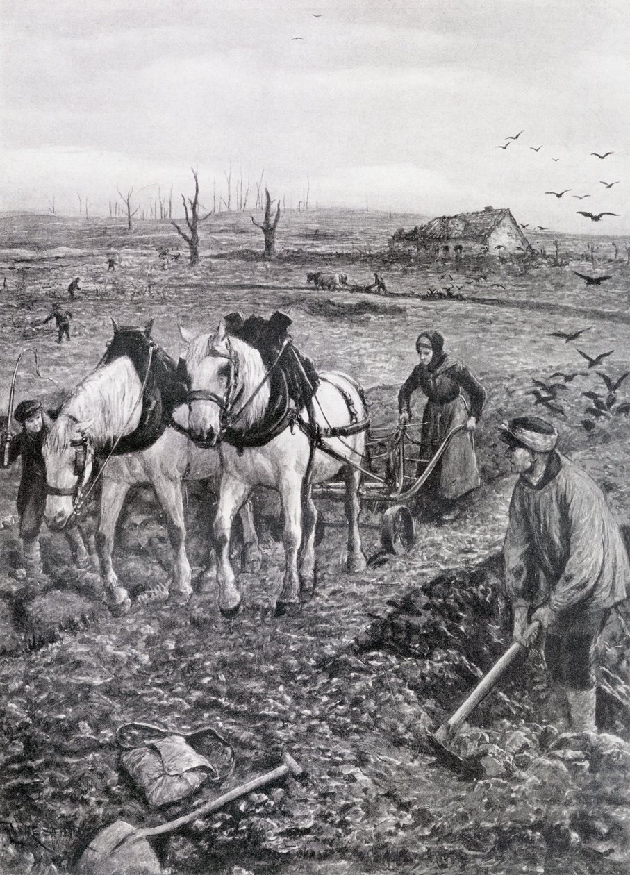 Agricultores, trabalhando, arruinado, campos, 1918, (halftone, newsprint) de Amedee Forestier