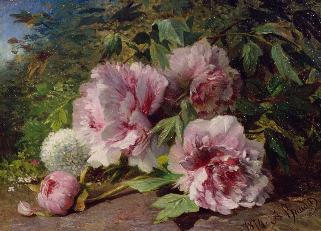 Estudo de peônias, 1874 de Amedee Baudit