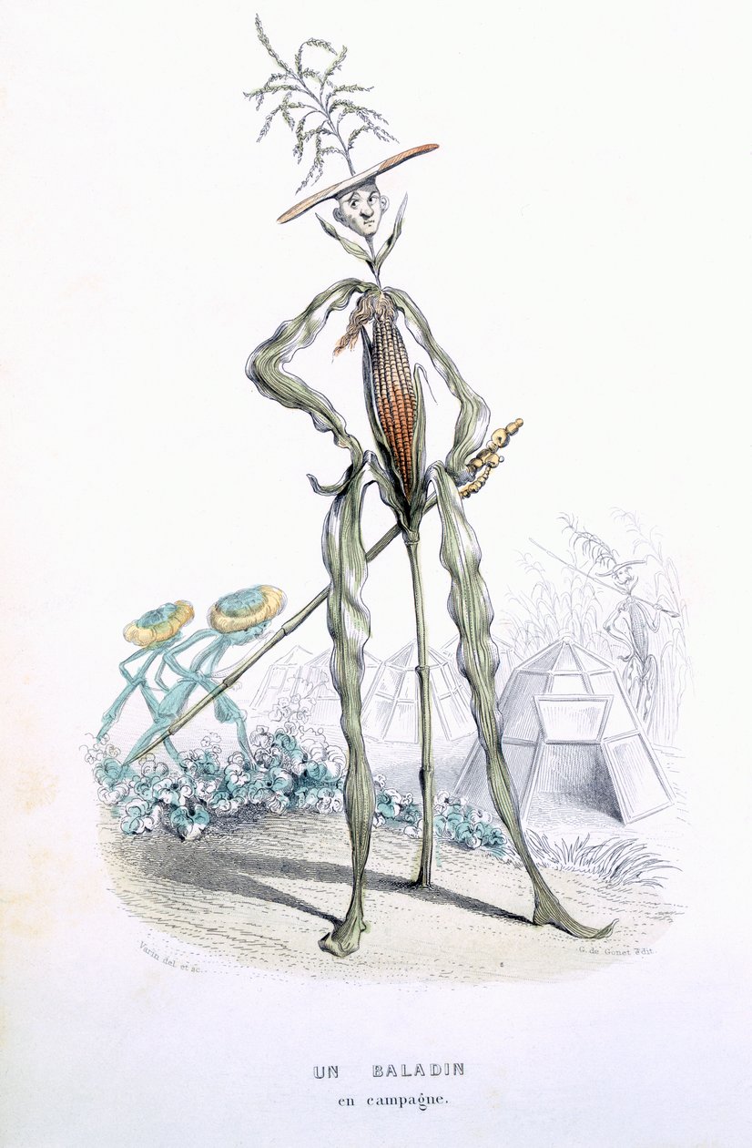 Um carrinho de criança country, de L&39;Empire des Legumes, Memoires de Curcurbitus, de Eugene Nus e Meray Antoine, 1851 (gravura colorida) de Amedee Varin