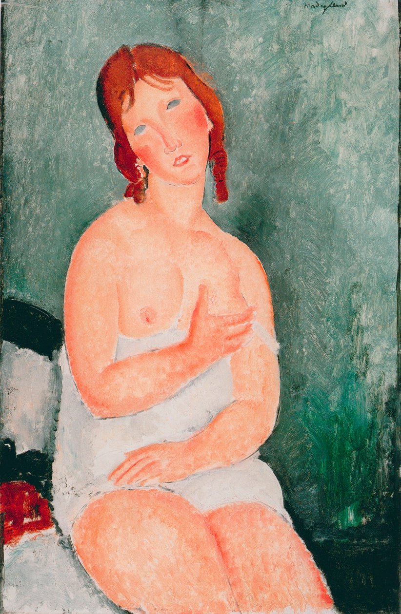 Jovem com camisa - Pintura de Amedeo Modigliani (1884-1920) de Amedeo Modigliani