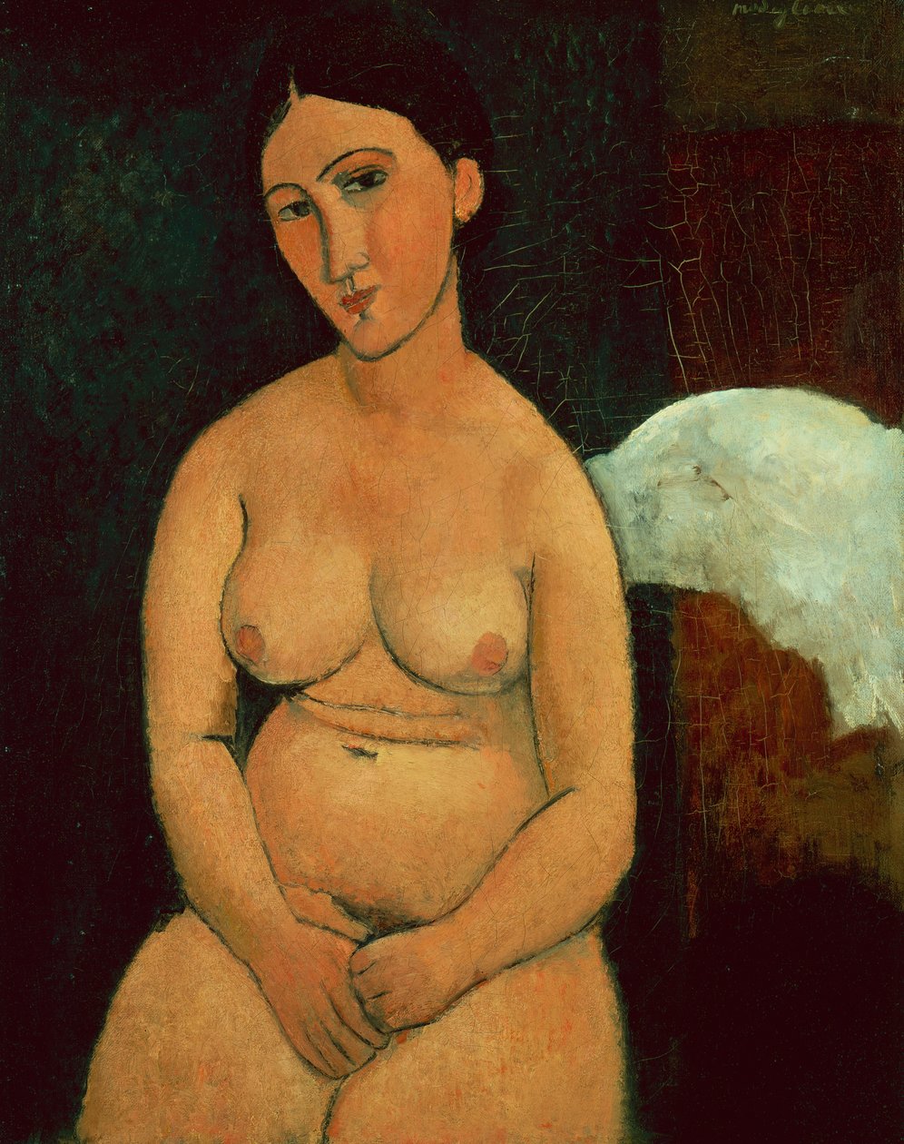Sentado Nú, c.1917 (óleo sobre tela) de Amedeo Modigliani