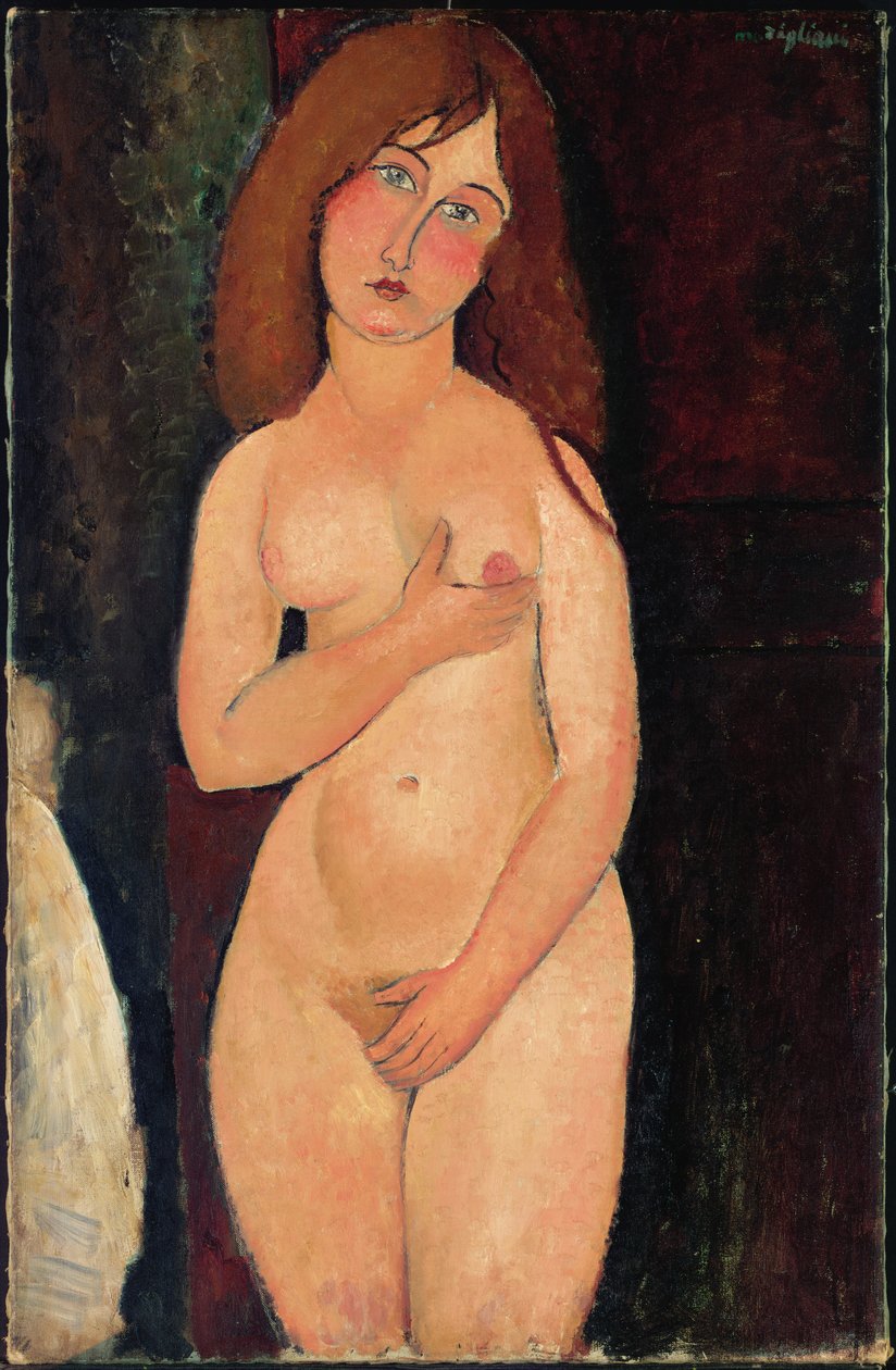 Vênus ou em pé nu ou nu médico; Vênus de Amedeo Modigliani
