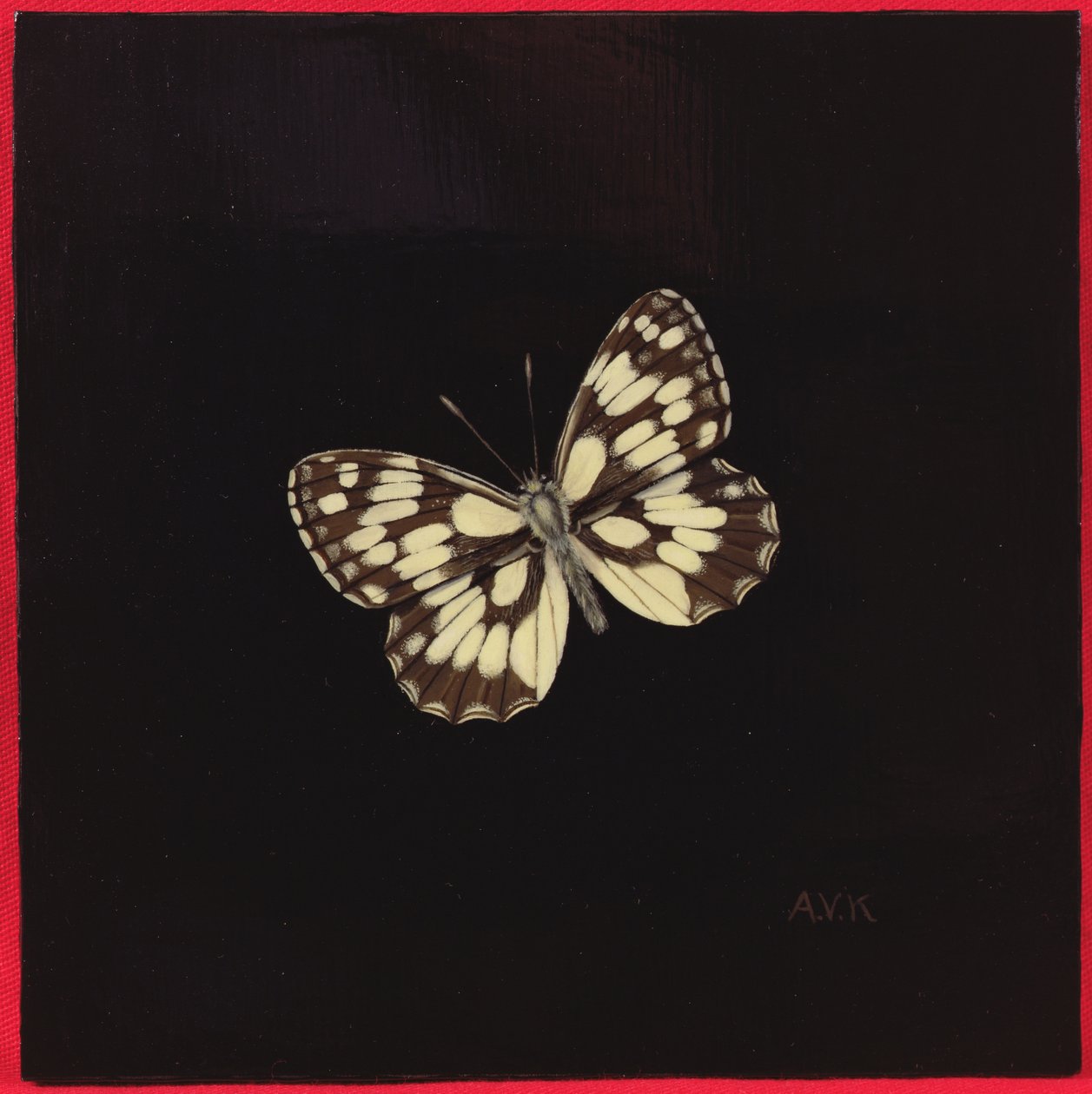 Borboleta branca marmorizada, 2000 de Amelia Kleiser
